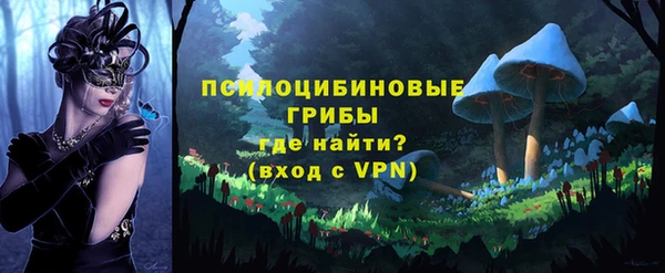 PSILOCYBIN Вяземский