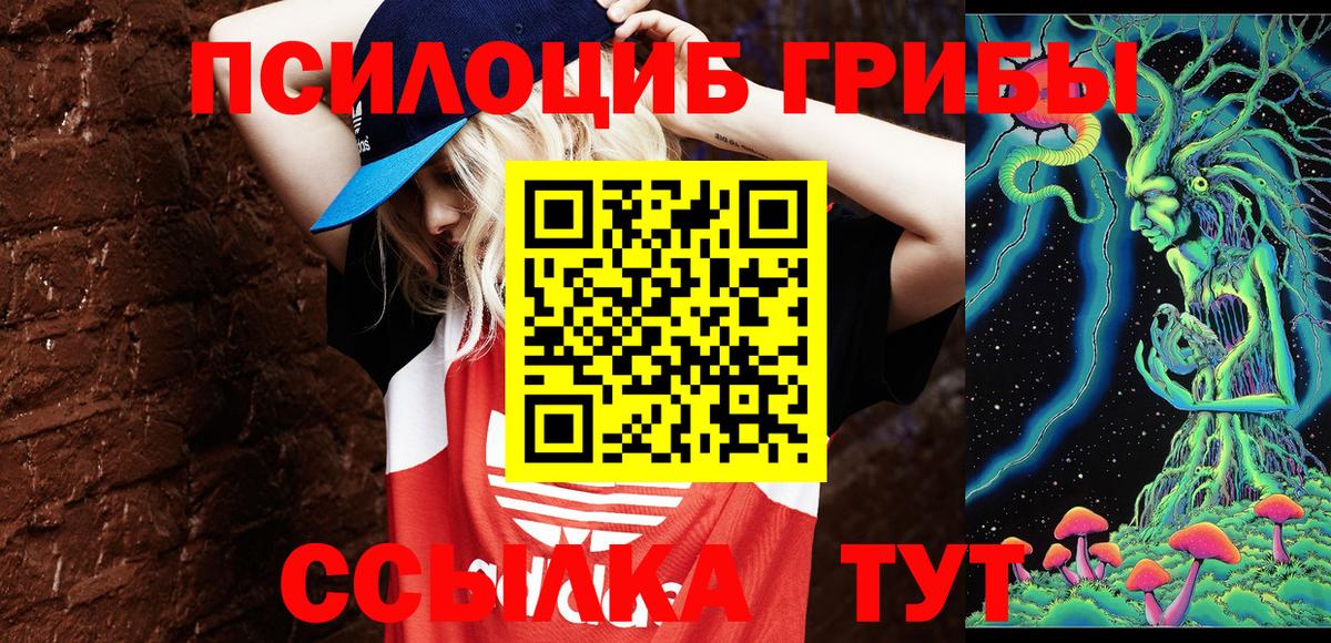 Псилоцибиновые грибы Cubensis  Вход с VPN  Мариинск 
